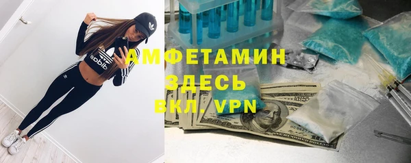 прущие грибы Армянск