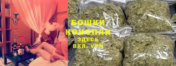 прущие грибы Армянск