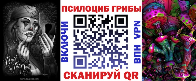 Купить  Вельск  Псилоцибиновые грибы Psilocybe 